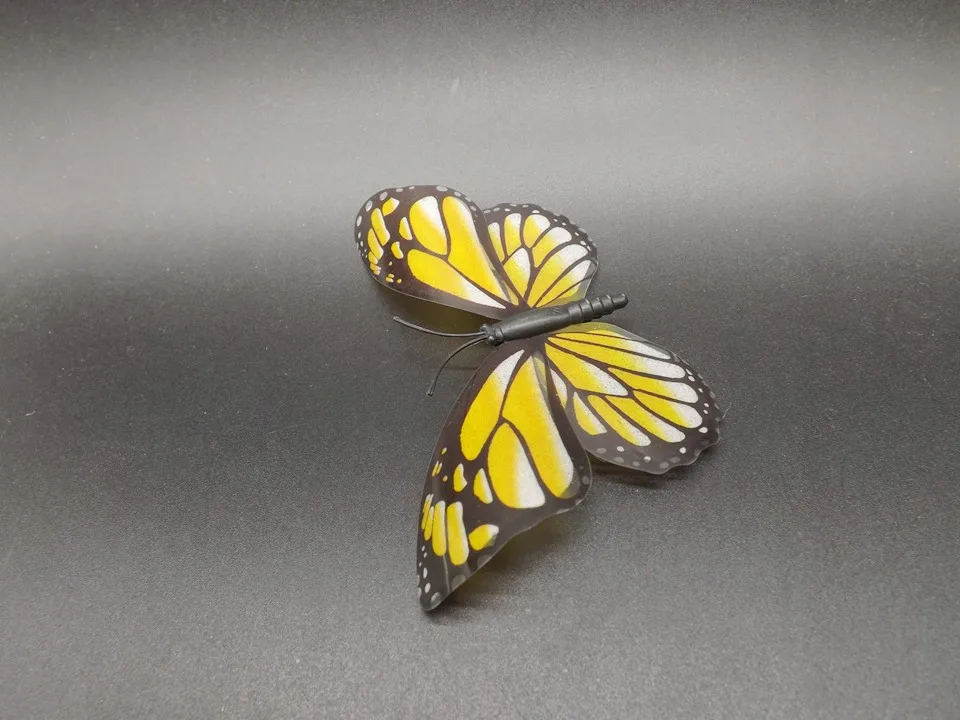I271-Butterfly (6)