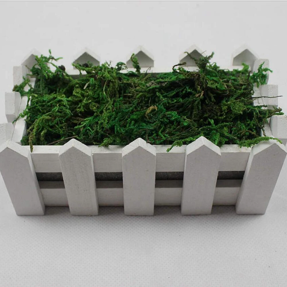 40g/Bag Artificial Flower Dried Reindeer Moss for Garden Home Decoration DIY Craft Flower Bonsai Basket Plant Wedding Turf Decor 40g/Bag Artificial Flower Dried Reindeer Moss for Garden Home Decoration DIY Craft Flower Bonsai Basket Plant Wedding Turf Decor