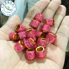 Голубь кольца птица кольцо