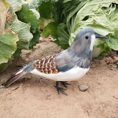 real life Bird feathers dove bird model large 30cm peace home garden decoration prop toy gift h1557 | Игрушки и хобби