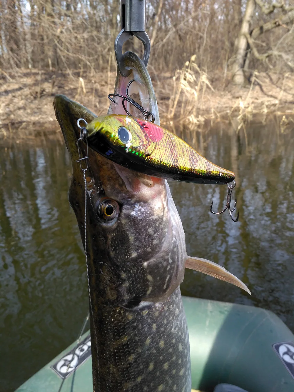 UTB8eZdxJqrFXKJk43Ovq6ybnpXal