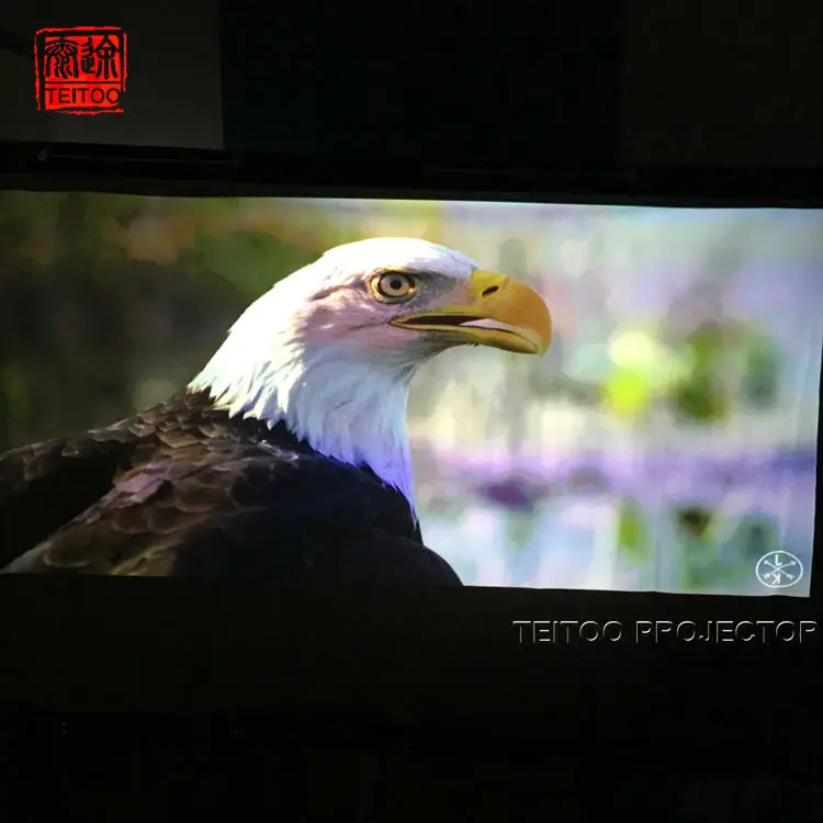 250 дюймов (20 8 фута) 16:9 задняя пленка из ПВХ для проекционного экрана в любом