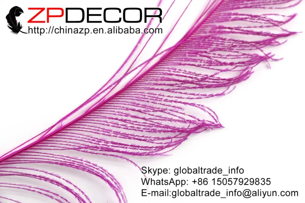Hot pink peacock swords feathers  (6)