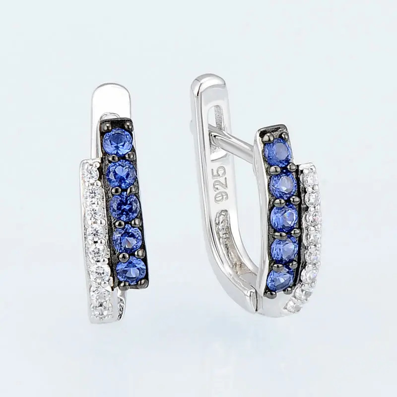 E304371SBZZSK925-SV1-Silver Earrings-