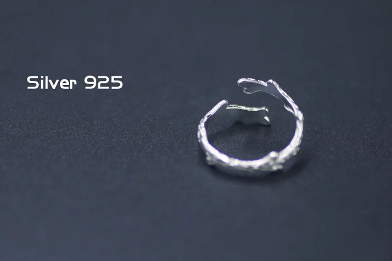 3105296731_1177762227