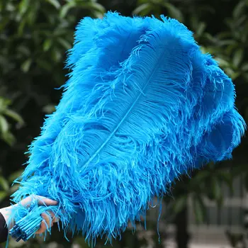 

Best-selling products 100 PCS pretty 55-60 cm/22-24 inches Sky blue ostrich feathers plume artware performing decorations