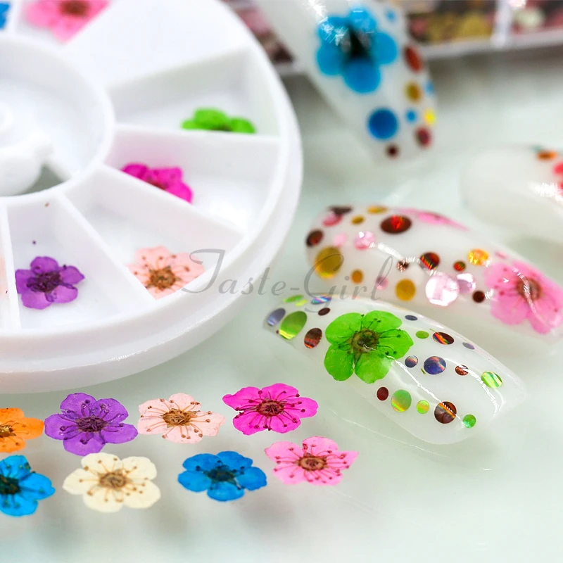 24 pc/عجلة الأظافر الطبيعية المجففة زهرة DIY 3D ضغط زهر زهرة المنزلق ملصقا البولندية مسمار الفن زينة مانيكير لوازم
