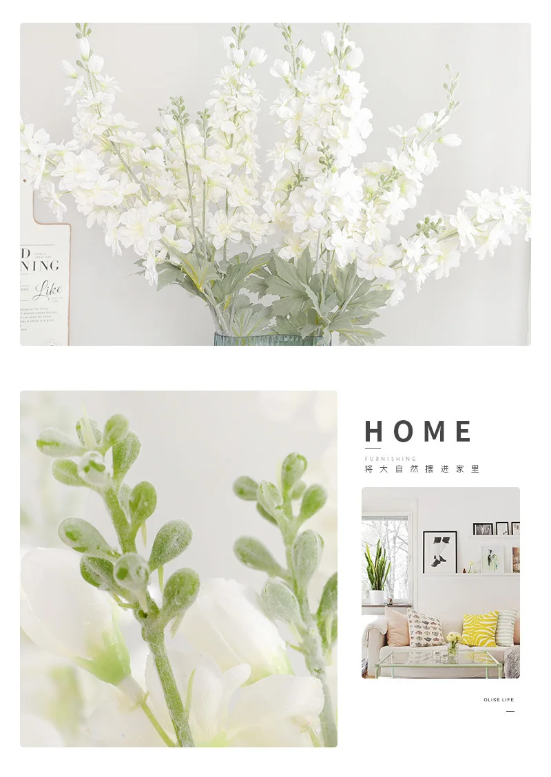 11070518035_798695559