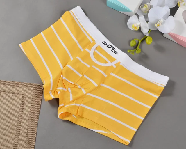 2016 nouveauté Couples sous vêtements coton culottes Boxer et femmes sous vêtements Lingeris