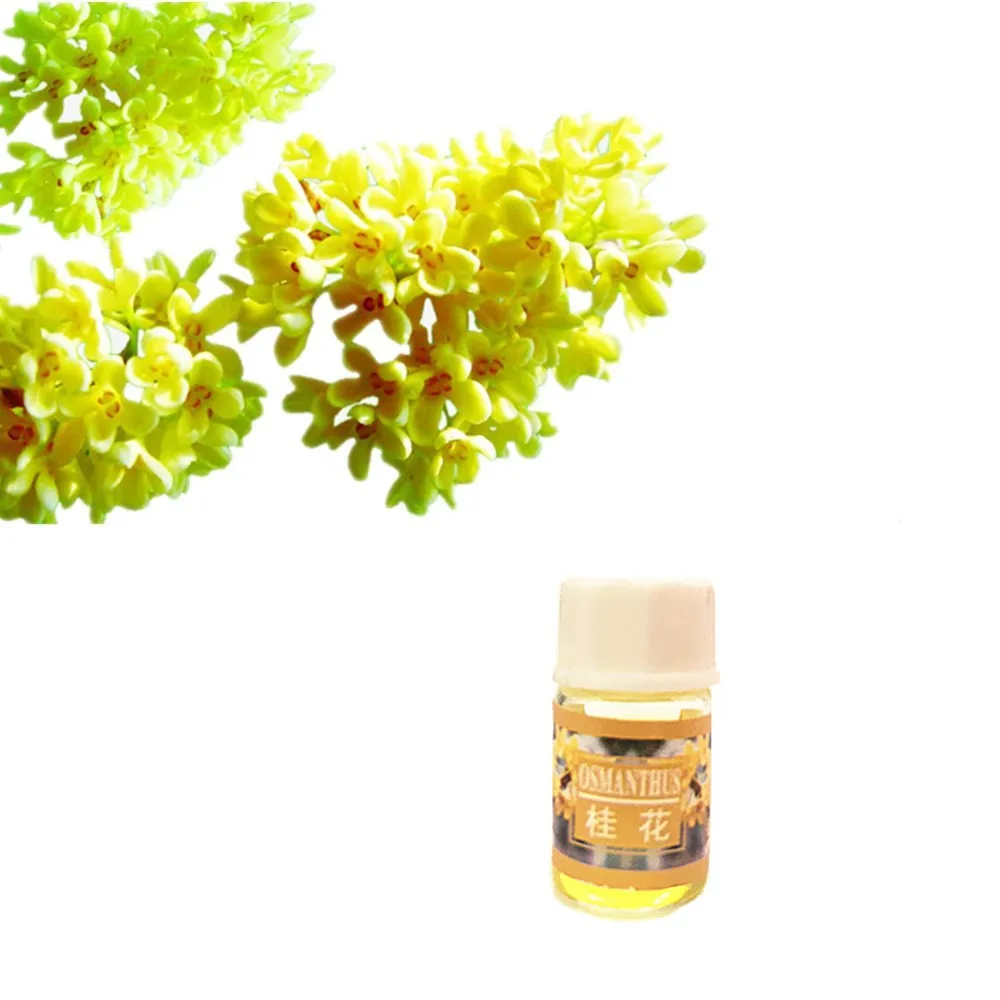 العطر الروائح الحلوة المعطرة أوسمانثوس الضروري النفط ل القضاء رائحة جعل رائحة على الجسم العطر الروائح الحلوة المعطرة أوسمانثوس الضروري النفط ل القضاء رائحة جعل رائحة على الجسم