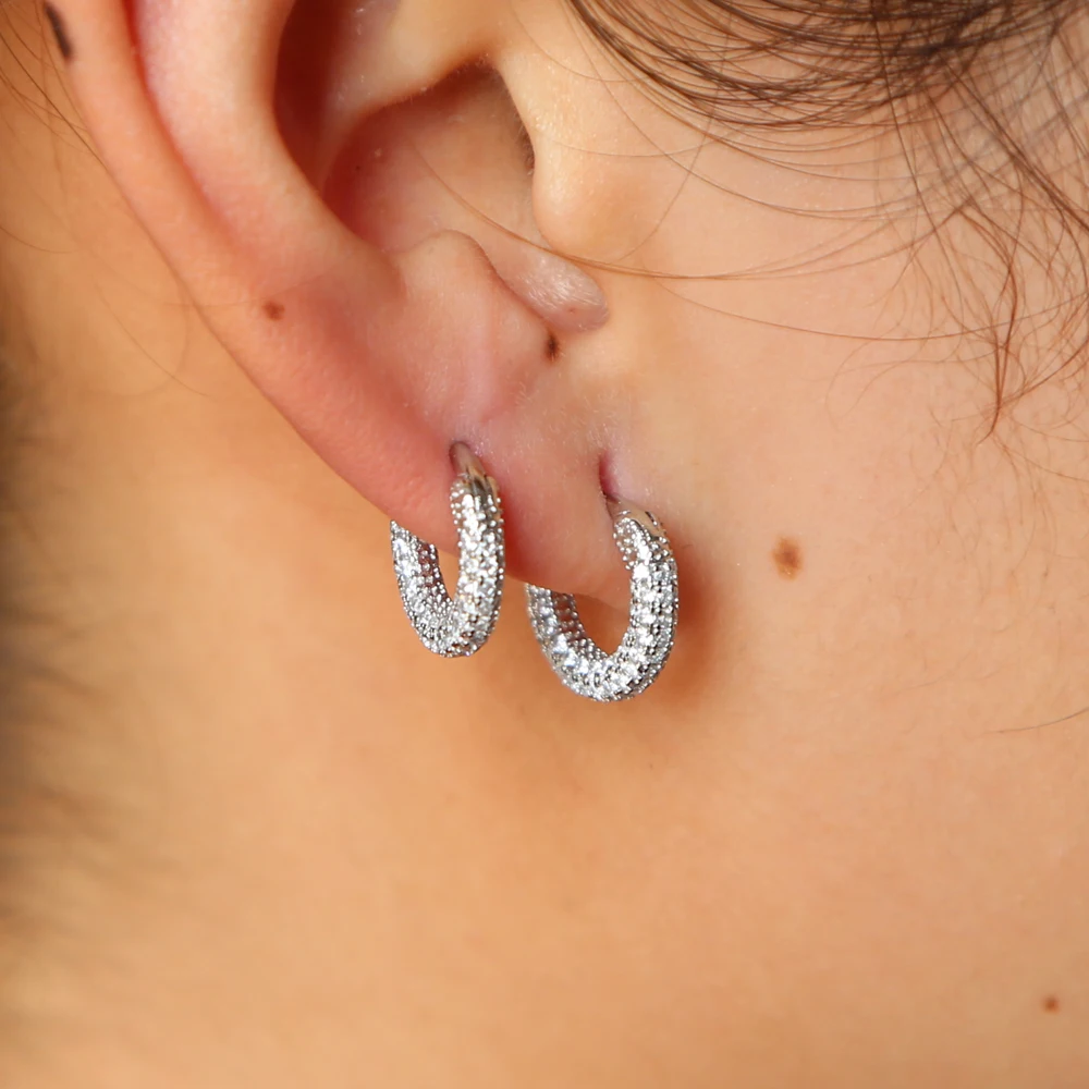 silver hoop earring (8)