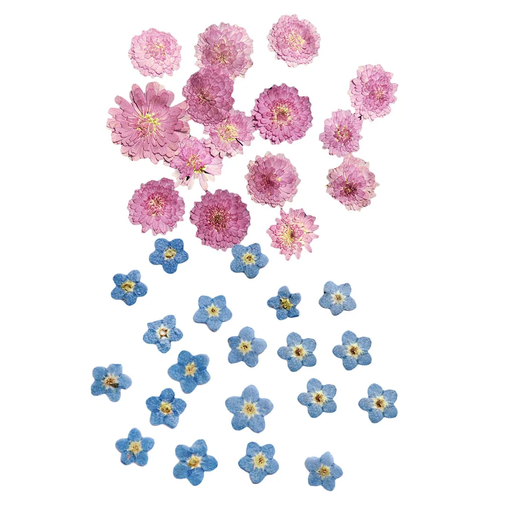 20x Pressed Dried Flower Dry Leaves for DIY Craft Bookmark Cards Making
