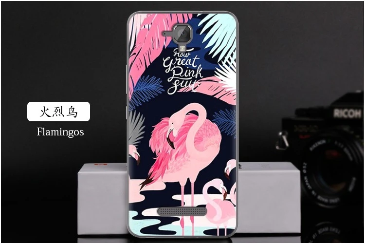  Flamingos
