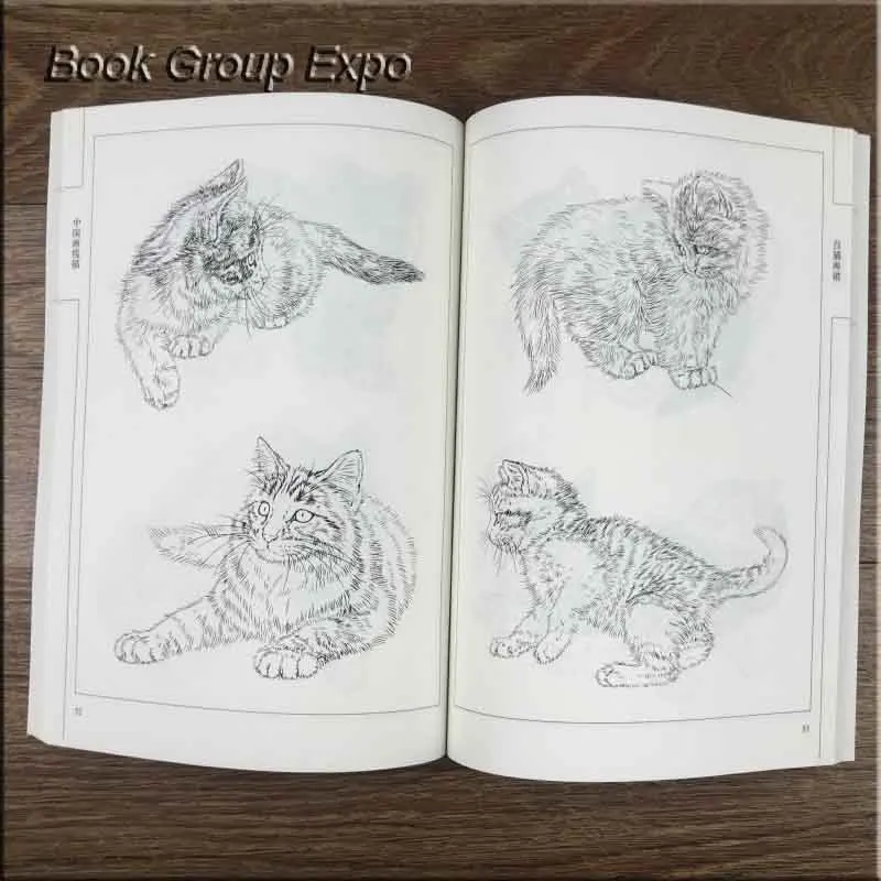 Китайский рисования линий Хуа PU ли Сюэ Чжи сто кошки тщательно живопись рисования линий перья животных