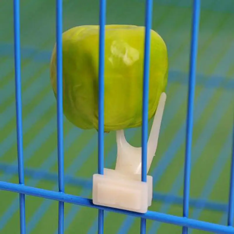 Birds Parrots Fruit Fork font b Pet b font Supplies Plastic Food Holder Feeding On Cage