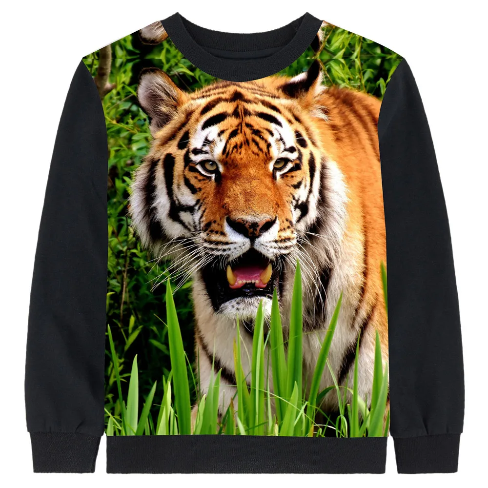 Лапы тигра. Барнаульский тигр полосатый. Амурский тигр фото. Уссурийский тигр. Коричневый тигр.