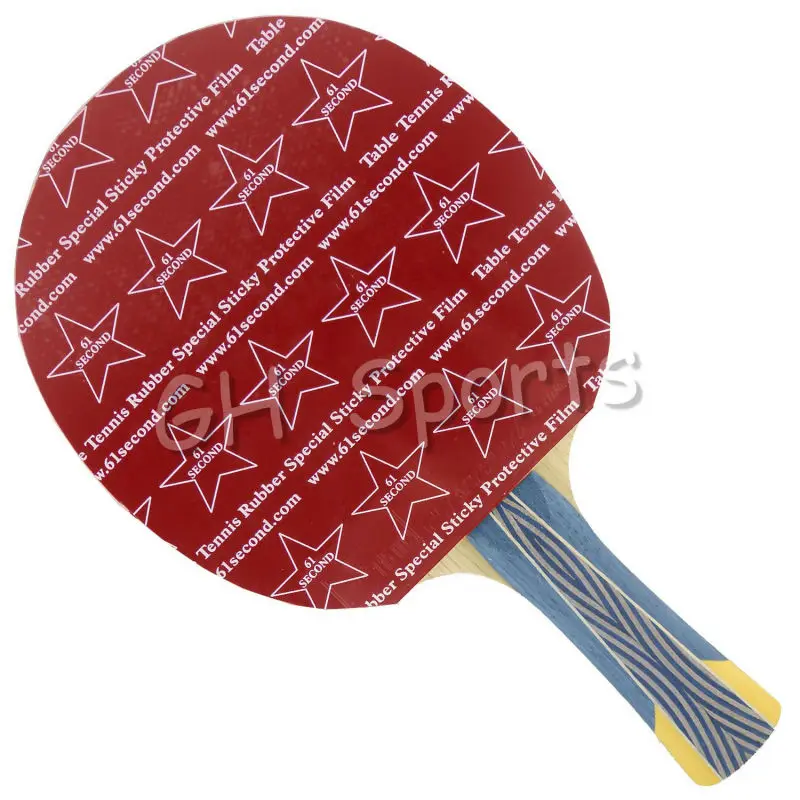 Pro настольный теннис пинг-понг комбинированная ракетка Palio Legend-2 с 61 секундой Lightning DS и Donic BARACUDA 12080 длинные для европейской хватки fl