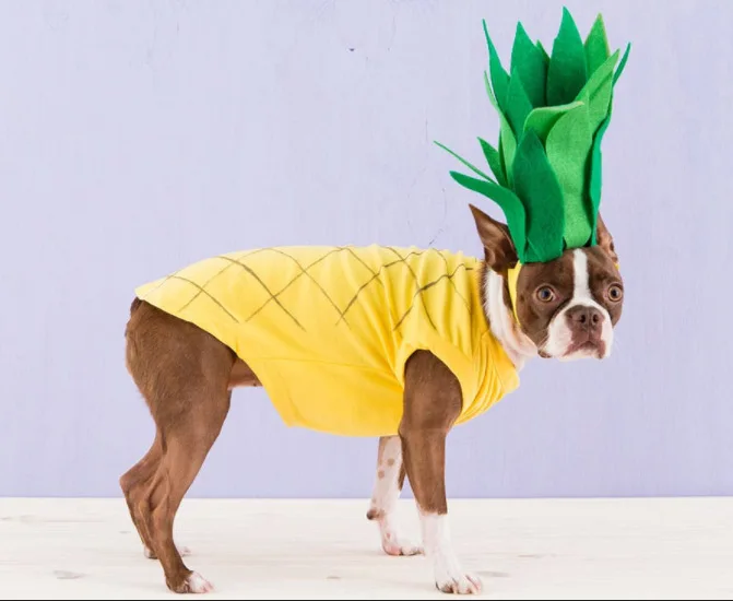 8765949848_1503561499