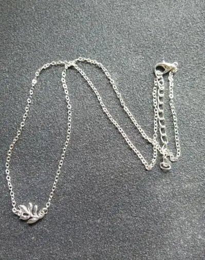 XL0487 1