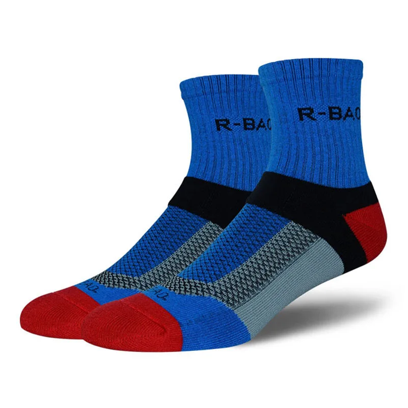 b (1)