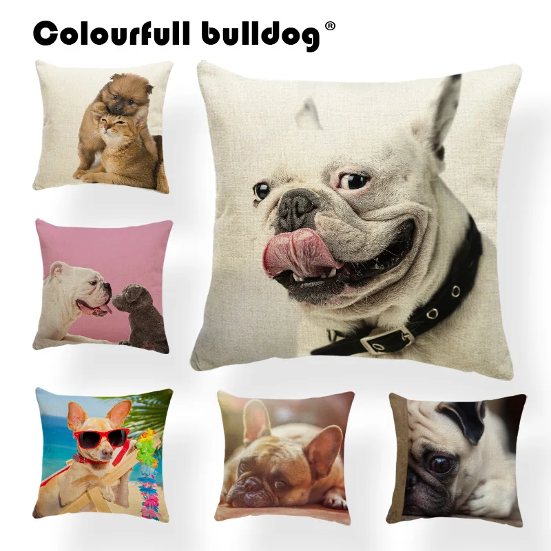 Cartoon French Bulldog Cats Cushions Pillow Covers Basket Books Chirstmas Hat Throw Pillows Beach Palm Leaves Kids Room Decorate Cartoon French Bulldog Cats Cushions Pillow Covers Basket Books Chirstmas Hat Throw Pillows Beach Palm Leaves Kids Room Decorate