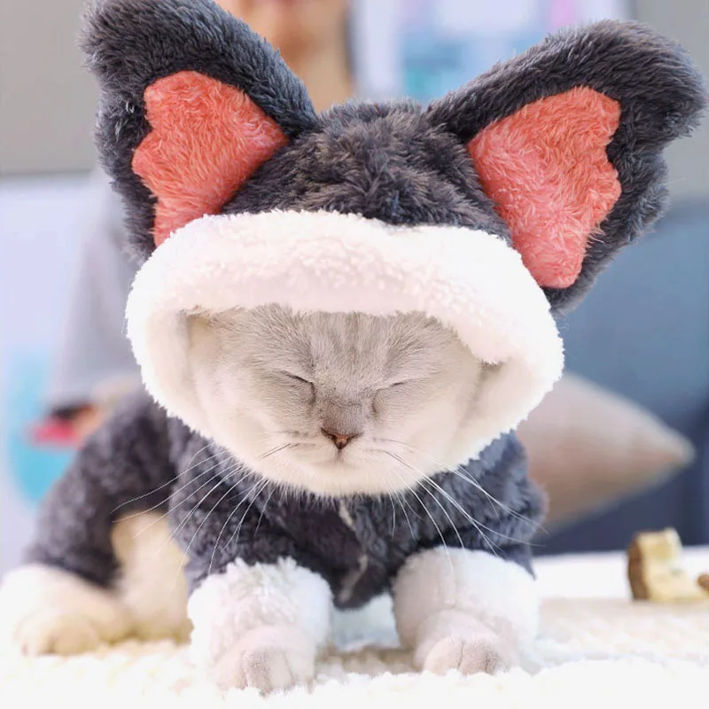 Зимний костюм Одежда для домашних животных котов теплое мягкое пальто уличная