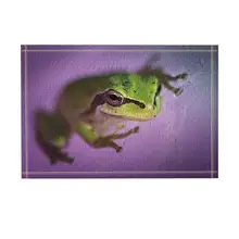 Сафари Декор дикого животного лягушка вертикально против фиолетового фона коврик для ванной нескользящий коврик пол аксессуары для ванной комнаты