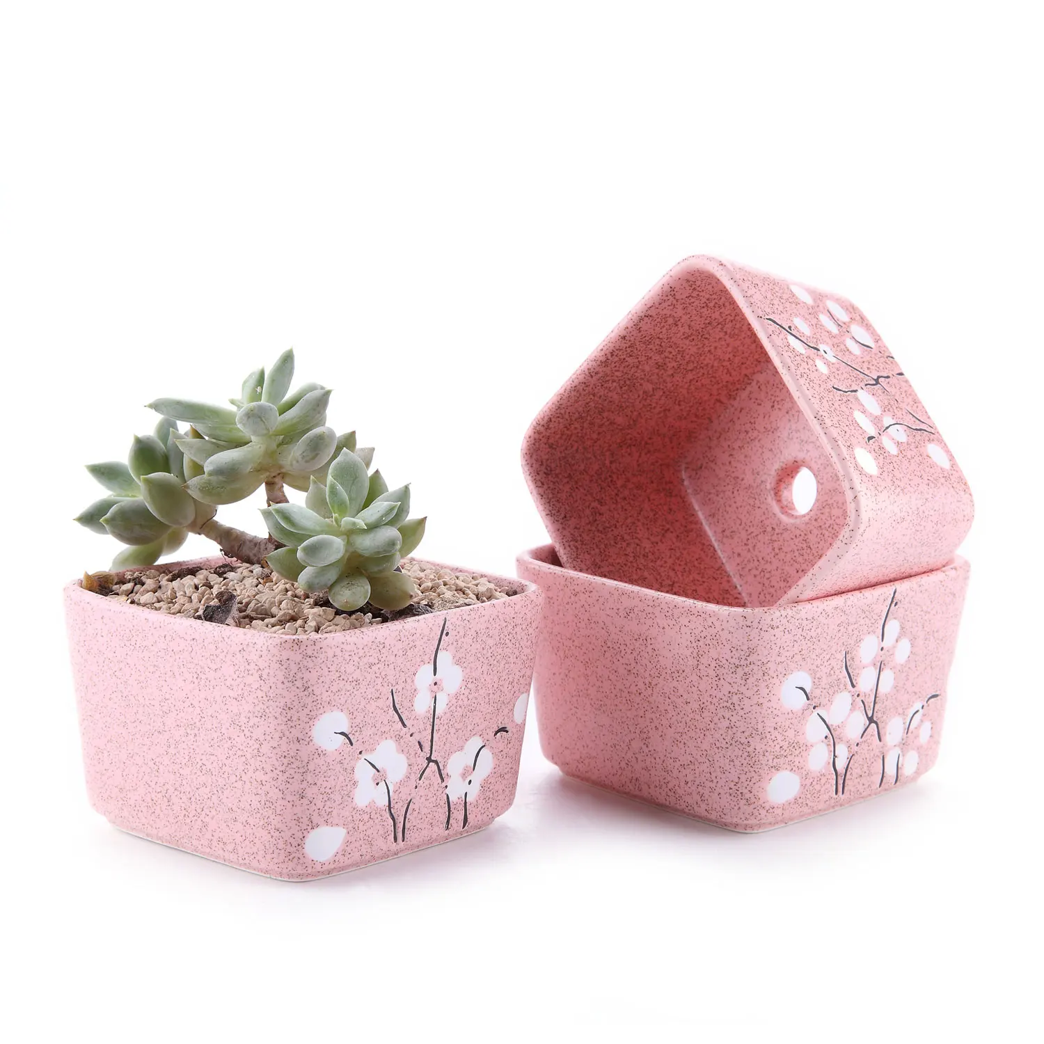 

T4U 3.5 Inch Ceramic Japanese Stlye Square Wintersweet succulent Cactus Plant Pot Flower Pot Container Planter Pink 1 Pack of 3