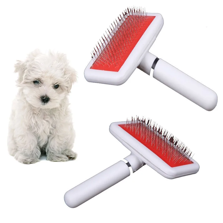 Hairbrushes for dogs: how to choose Hairbrushes for dogs: how to choose