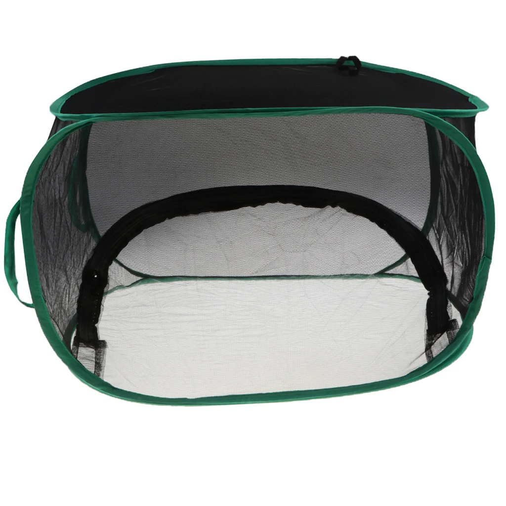 Large Pop Up Butterfly Habitat Terrarium Insect Cage Mesh Fly Net Science & Nature Observation Biology Supplies Educational Toy