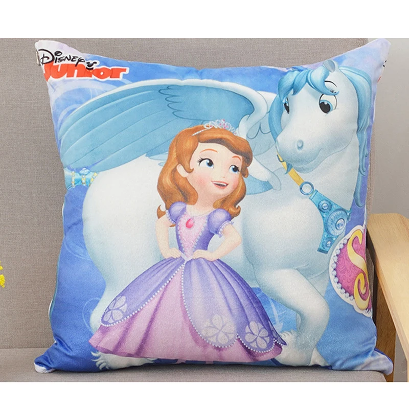 cushion (1)