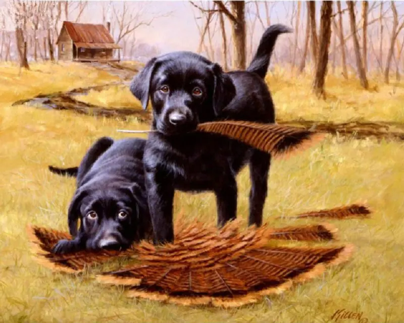 Full-Diamond-Painting-Cartoon-Puppy-Diamond-Embroidery-Animal-Dog-Diamond-Mosaic-Full-Gear-Sequins-Embroidery-Pattern.jpg_640x640