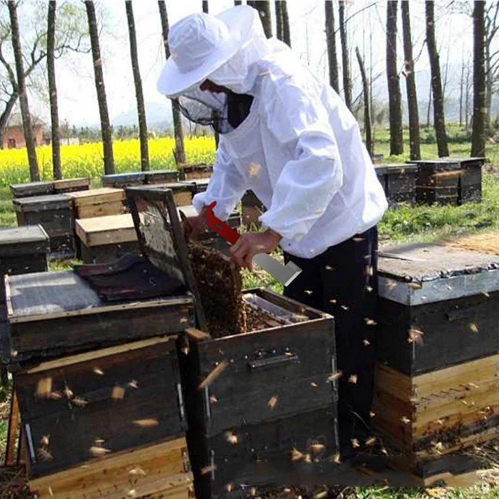 27 см из нержавеющей стали пчелиный скребок Инструмент пчелиный улей рамка подъемный скребок для пчеловодов пчеловодства поставки