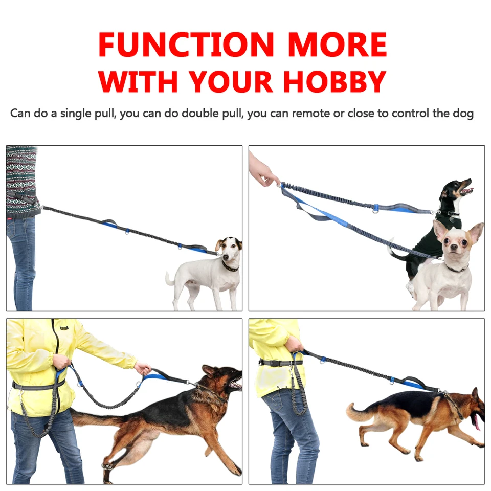 dual retractable dog leash for large dogs