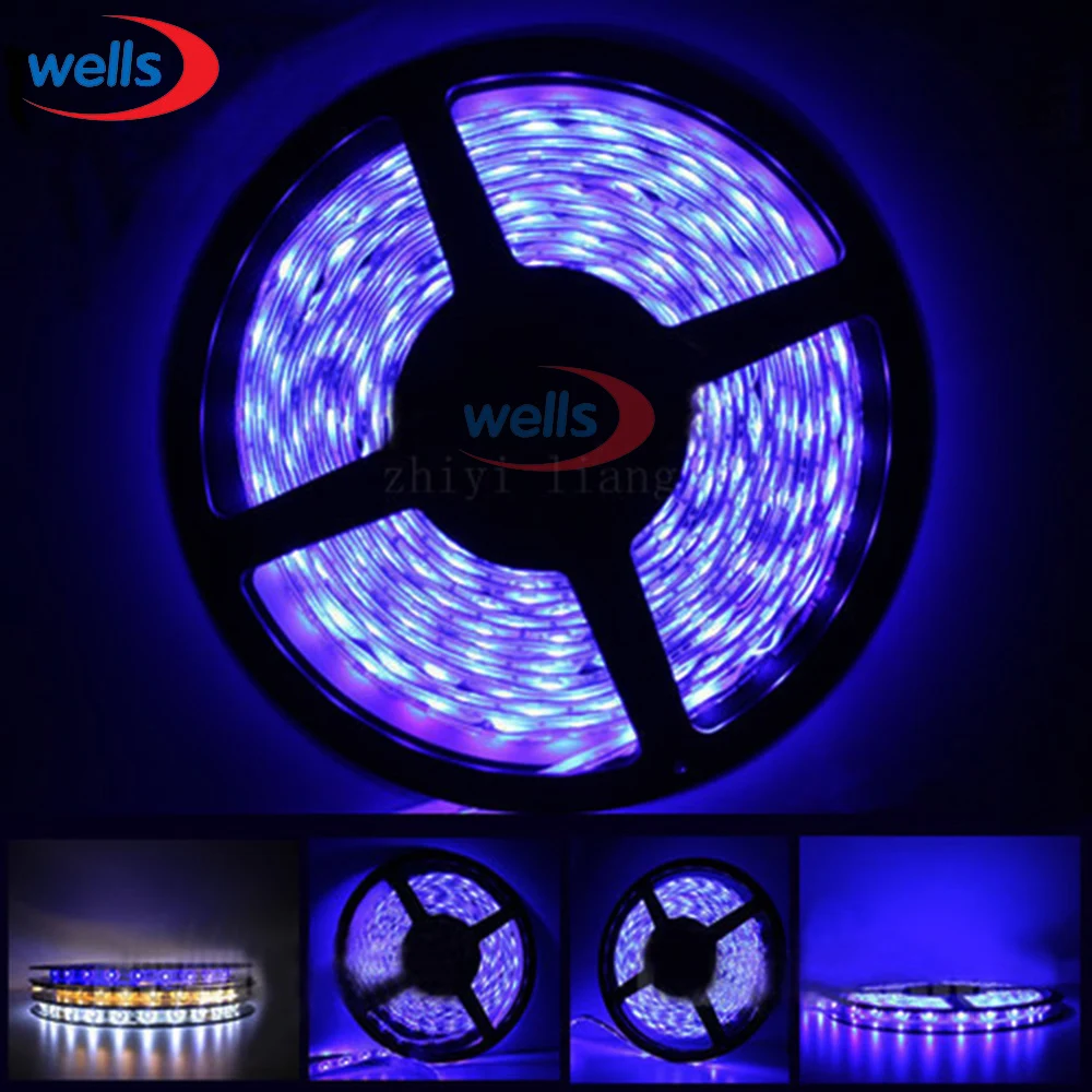 Buy 24V Car 5M Flexible Water house proof 3528 SMD 300 LED Strip Light 500cm Blue
