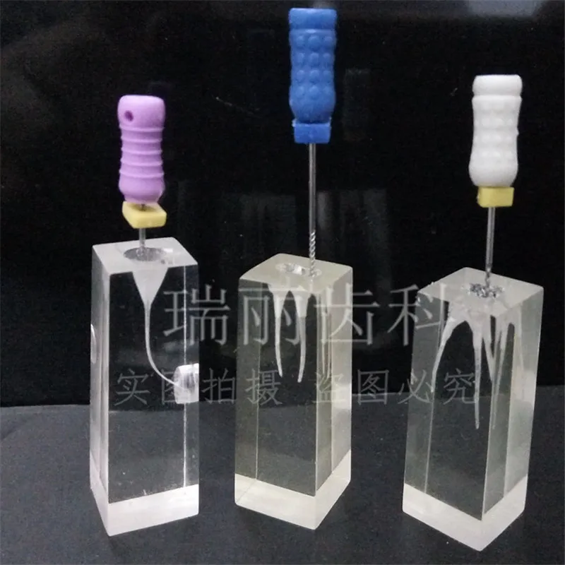 

A0196 3PCS 1:1 Resin Dental Endodontic Student Study Practice Operation Model Transparent without files (H 3cm)