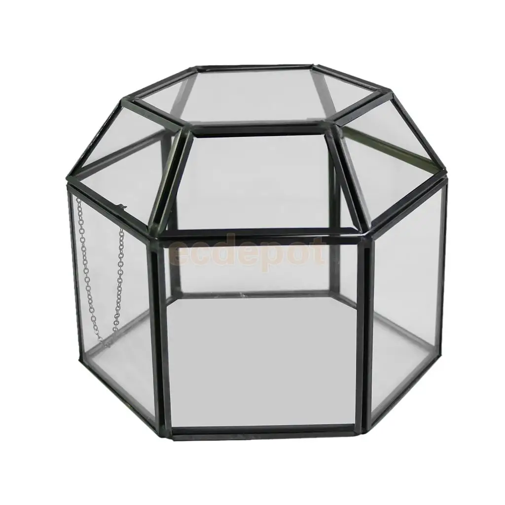 MagiDeal Various Irregular Glass Geometric Succulent Planter Vase Terrarium Container Tabletop Pot DIY Home Office Wedding Decor