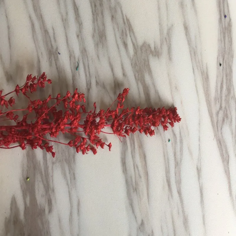 5 г/сухой цветок букет шпиндель груша свадебное оформление букета DIY декоративные цветочные лоскуты - Цвет: red