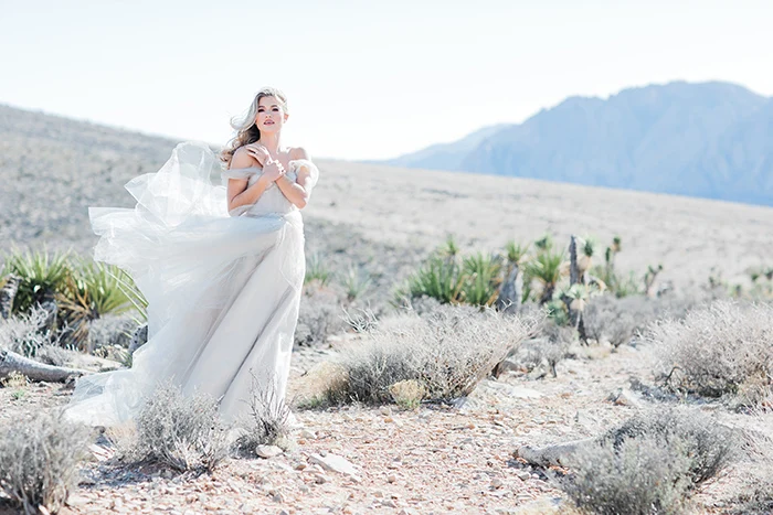 26-vintage-bridal-glam-red-rocks-canyon(pp_w480_h320)
