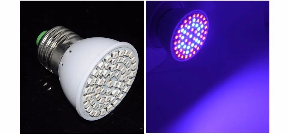 3004181740_241997919