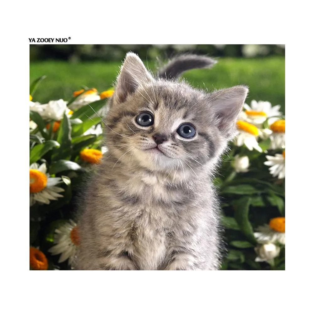 

Full Diamond DIY Diamond Painting Cat and Daisy Flowers Mosaic Pattern Rhinestones Crystal Handmade Diamond Embroidery Cat YU302