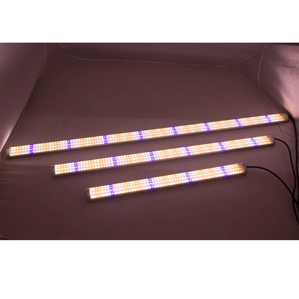 3 Year Warranty LED grow light strip full spectrum fitolampy for indoor seedling Vegetable Greenhouse Grow Tent phyto lamp