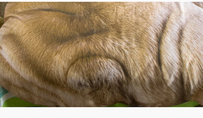 20190624_172644_0101