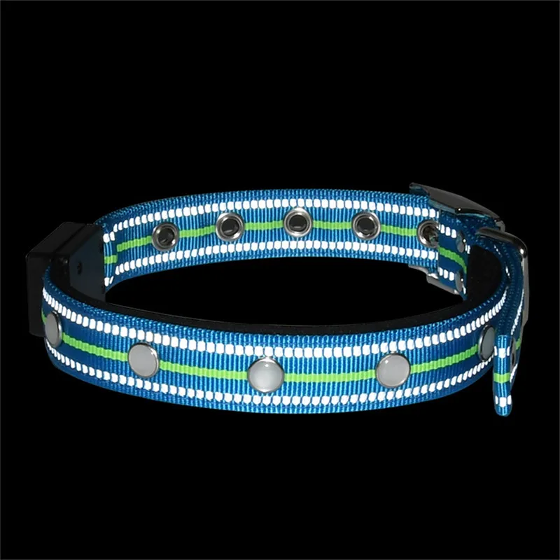 LED Dog Collar USB (20)
