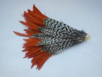 

Free Shipping 50pcs/lot Wholesale Pheasant Tail Feathers 25-30cm/10-12inches Natural Plumes