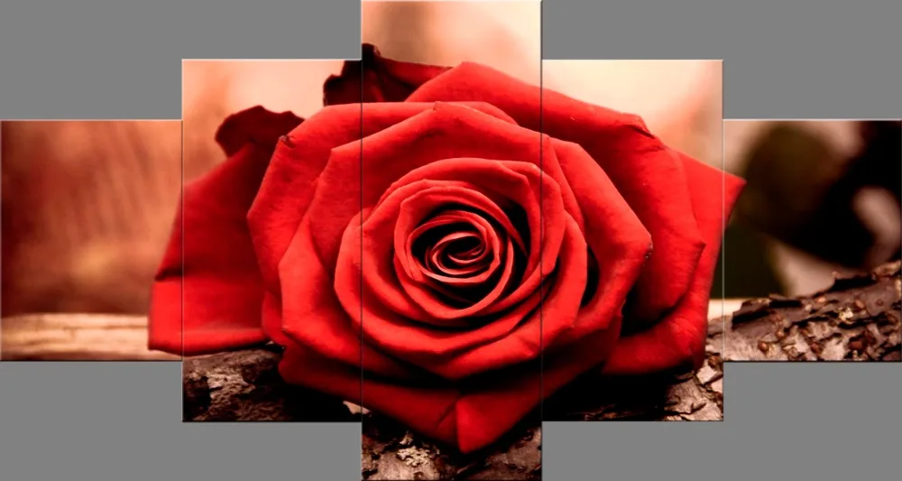love_red_flowers_faith_roses_time-04