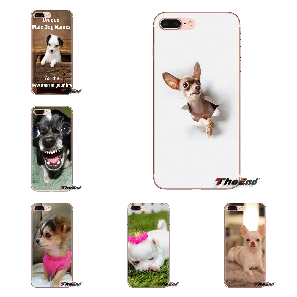 

For Xiaomi Mi3 Samsung A10 A30 A40 A50 A60 A70 Galaxy S2 Note 2 Grand Core Prime Transparent TPU Shell Cases Chihuahua dog puppy