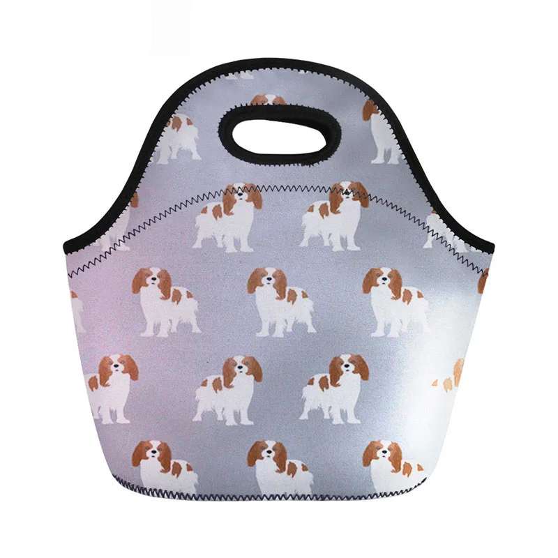 

Insulated Thermal Lunch Bag For Women Cavalier King Pattern Cute Girls Thermal Cooler Handbag Easy Carrying Picnic Totes