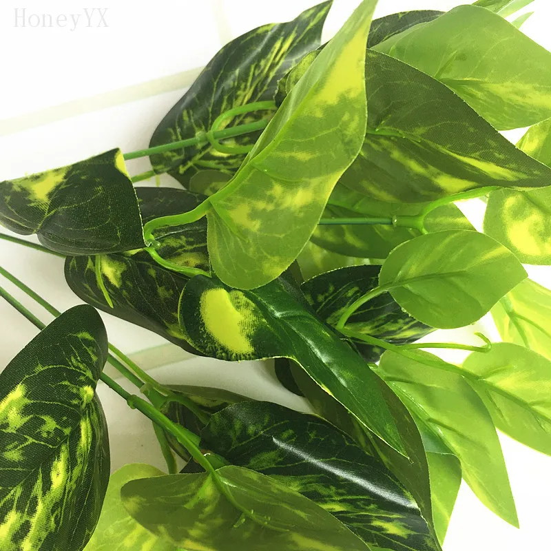 14soydx73g