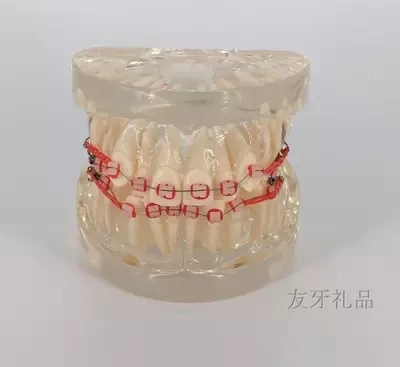 TB29Xugd.sIL1JjSZPiXXXKmpXa_!!356541404.png_400x400.jpg_.webp
